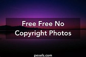 250+ Interesting Free No Copyright Photos · Pexels · Free Stock Photos