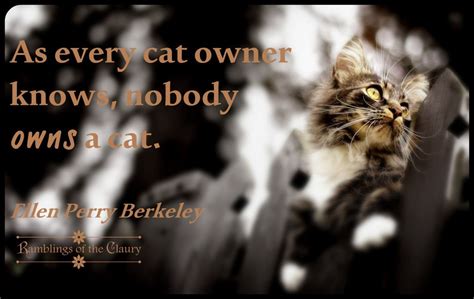 Owners Cat Quotes Owning A Cat Cat Love