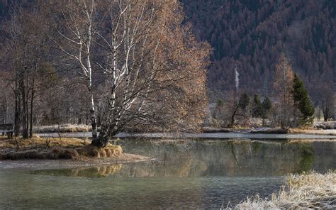 Download Wallpaper 2560x1600 Lake Mountain Trees Water Nature