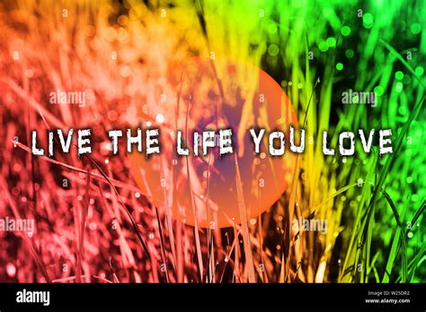 I Love My Life Quotes Wallpaper