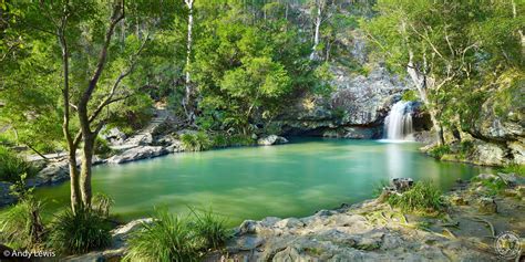 The Pool Above Kondalilla Falls Could Be The Perfect Swimming Hole