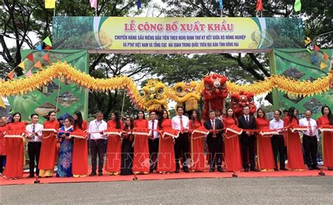 Dong Nai Exports First Shipment Of Durian To China Vna Photos