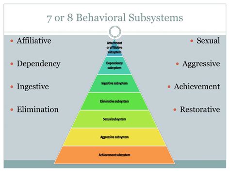 Johnsons Behavioral System Model Dorothy Johnson S Behavioral System Model For Mental Care
