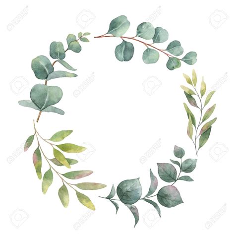 Eucalyptus Wreath Clipart 10 Free Cliparts Download Images On