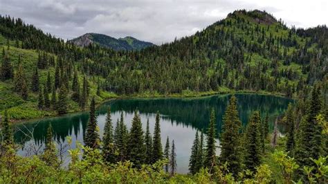 Flathead National Forest Whitefish 2020 All You Need To Know Before