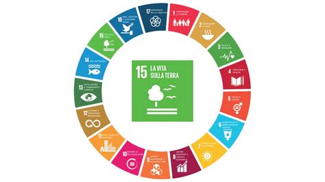 Agenda 2030 Obiettivo 15 La Vita Sulla Terra Pratika