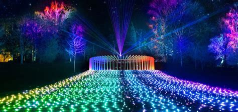 Experience Lightscape At The Royal Botanic Garden This July