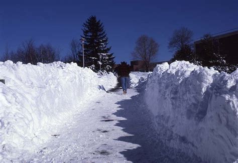 Photos: After the Blizzard of '78 at Brandeis | BrandeisNOW