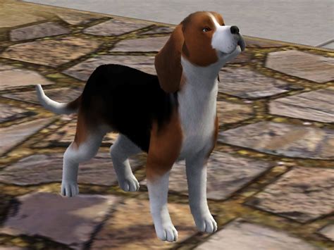 The Sims Resource Buster Beagle