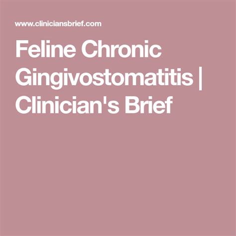 Feline Chronic Gingivostomatitis Clinicians Brief Chronic Feline