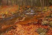 Verflossener Herbst (Forum für Naturfotografen)