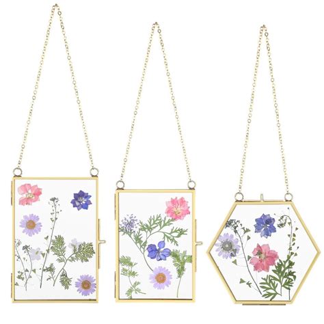 3 Pack Pressed Flowers Glass Frames Golden Hanging Glass Picture