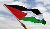 Fly the Flag for Palestine – IHRC