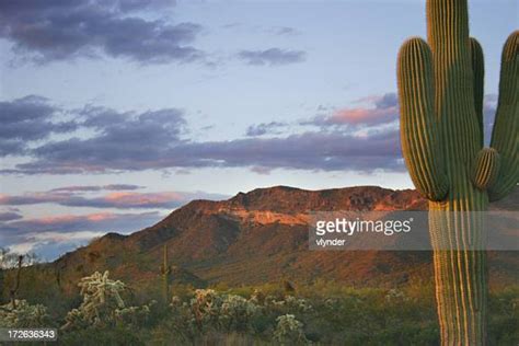 West Phoenix Photos And Premium High Res Pictures Getty Images