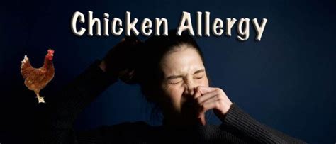 Know The Chicken Allergy And Its Symptoms To Avoid Any Complications
