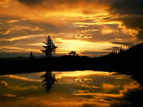 Sunset Forests Lakes Wide Mobile Wallpaper Other Wallpaper Better