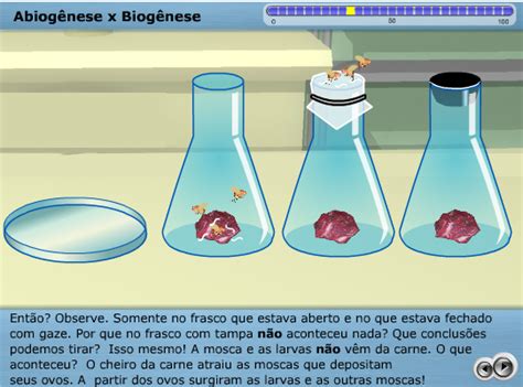 587 likes · 5 talking about this. Abiogênese x Biogênese | Currículo+