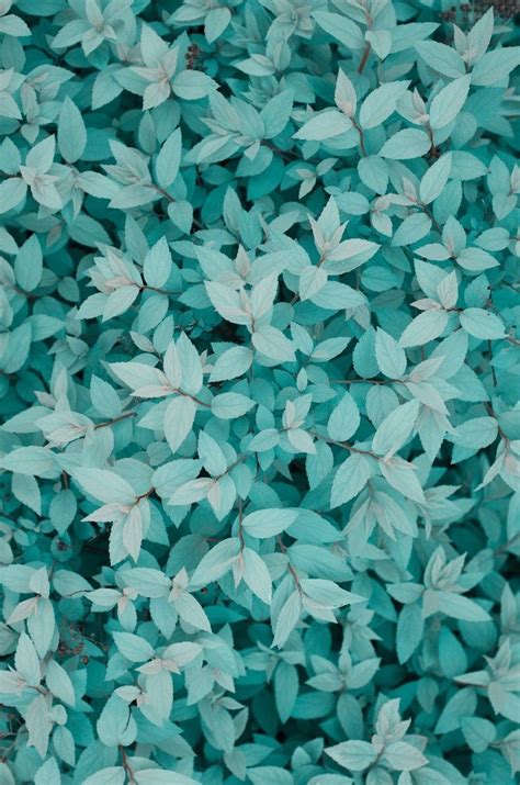 Turquoise Aesthetic Wallpapers Top Những Hình Ảnh Đẹp