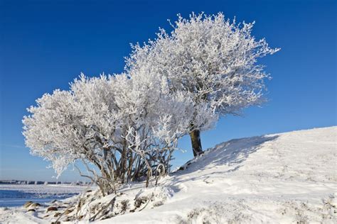 Iarna Gerul şi Zăpada La Români