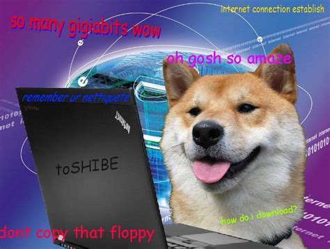 1000 Images About Doge On Pinterest Eyebrows Geek Culture And Ya Books