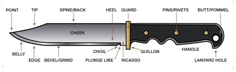 Knife Blade Types Guide