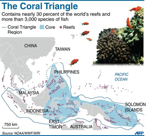 Secretariat Set Up To Protect Pacific Coral Triangle Global News