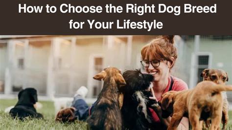 How To Choose The Right Dog Breed For Your Lifestyle Furry Talez