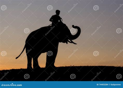 Elephant Silhouette Sunset Stock Photo Image Of Mahout 74403284