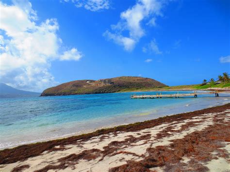 Turtle Beach St Kitts Southern Caribbean Islands Southern Caribbean