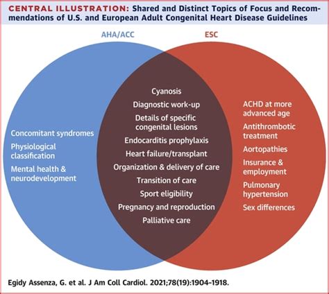 Ahaacc Vs Esc Guidelines For Management Of Adults With Congenital