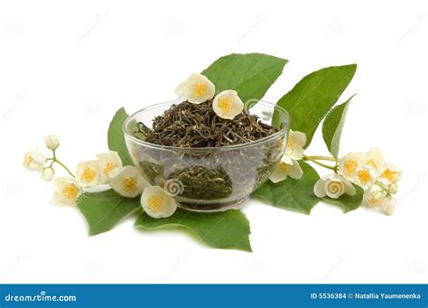 Jasmine Tea Stock Photo Image Of Close Culture Herb 5536384