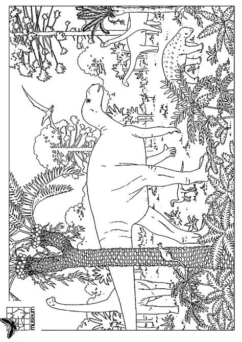 Fossils of this genus date to the late jurassic period, where they are found in kimmeridgian to early tithonian aged strata. Malvorlage des prähistorischen Großrechner Tals ...