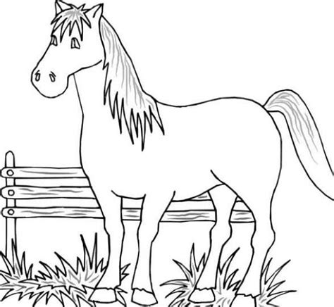 Coloring Page Fox Farm Animal Coloring Pages Farm Coloring Pages