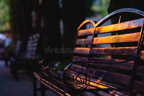 Closeup Of Wooden Bench In Park Evening View Stock Image Image Of