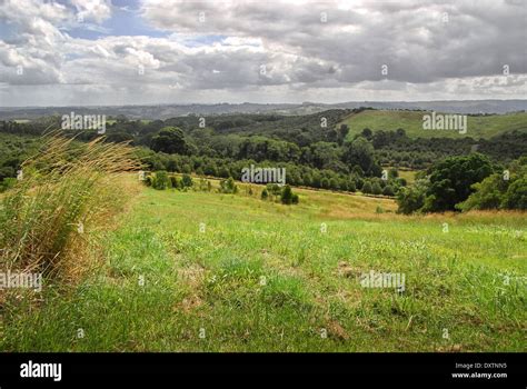 Australian Countryside Green Meadow With A Grass Stock Photo Alamy