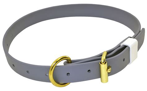 Dog Collar Png Transparent Image Download Size 2000x1250px