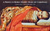 A Prince is Born: Henry, Duke of Cornwall (1511) | Tudor history, Tudor ...