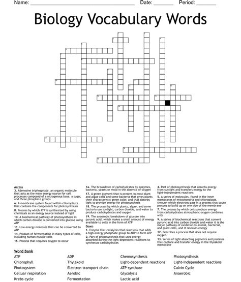 Biology Vocabulary Words Crossword Wordmint