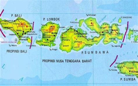 Kondisi Geografis Pulau Bali Dan Nusa Tenggara Berdasarkan Peta Tata