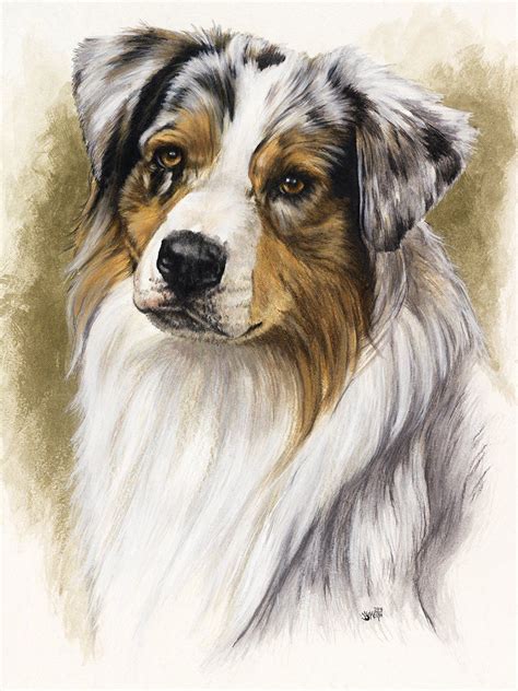 Australian Shepherd Canvas Print Australian Shepherd Dog Paintings