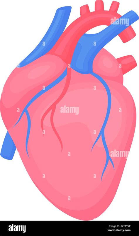 C Cardiology Diagnostic Center Sign Human Contoured Heart Flat Design