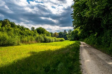 Abandoned Gravel Road In Landscape With Meadow And Deciduous Forest In
