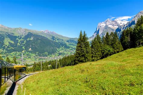 Valle Famoso De Grindelwald Bosque Verde Chalets Y Montañas Suizas