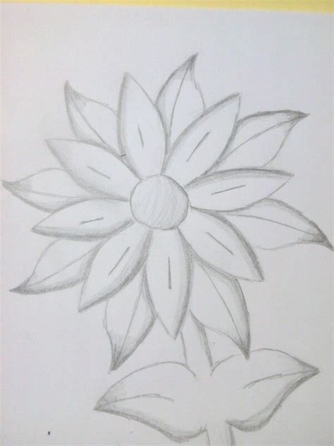 Flower Creative Easy Cute Pencil Drawings Fairyecake