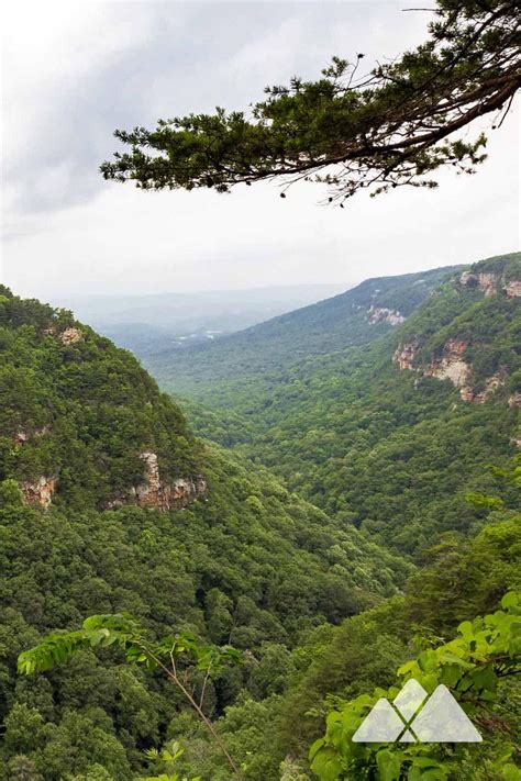 Cloudland Canyon State Park Top Hikes And Campsites Atlanta Trails