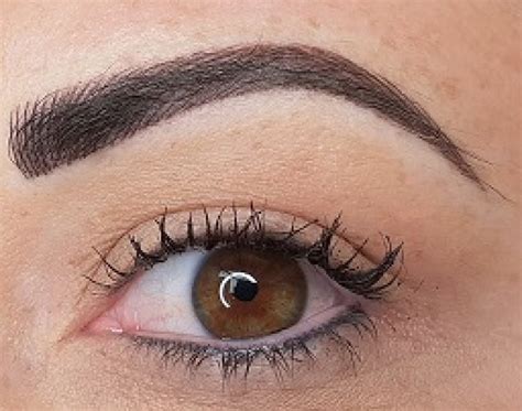 Timeless Cosmetic Tattooing Eyebrows Eyeliner And Lips