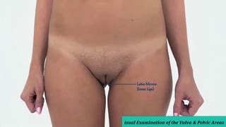 Talocrural Joint Google Search Vision Eye Nerve Anatomy Body Training