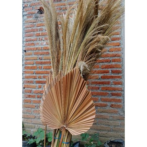 Maybe you would like to learn more about one of these? Daun Palem Kering/ Dried Palm Mini | Shopee Indonesia