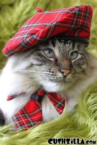 Cat Hat Dog Hat Red Plaid Chatte Beret From Cushzilla