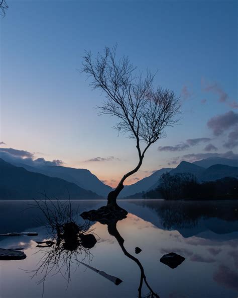 The Lone Tree In Llanberis Wales 3747x4684 Oc Oddchair Ift